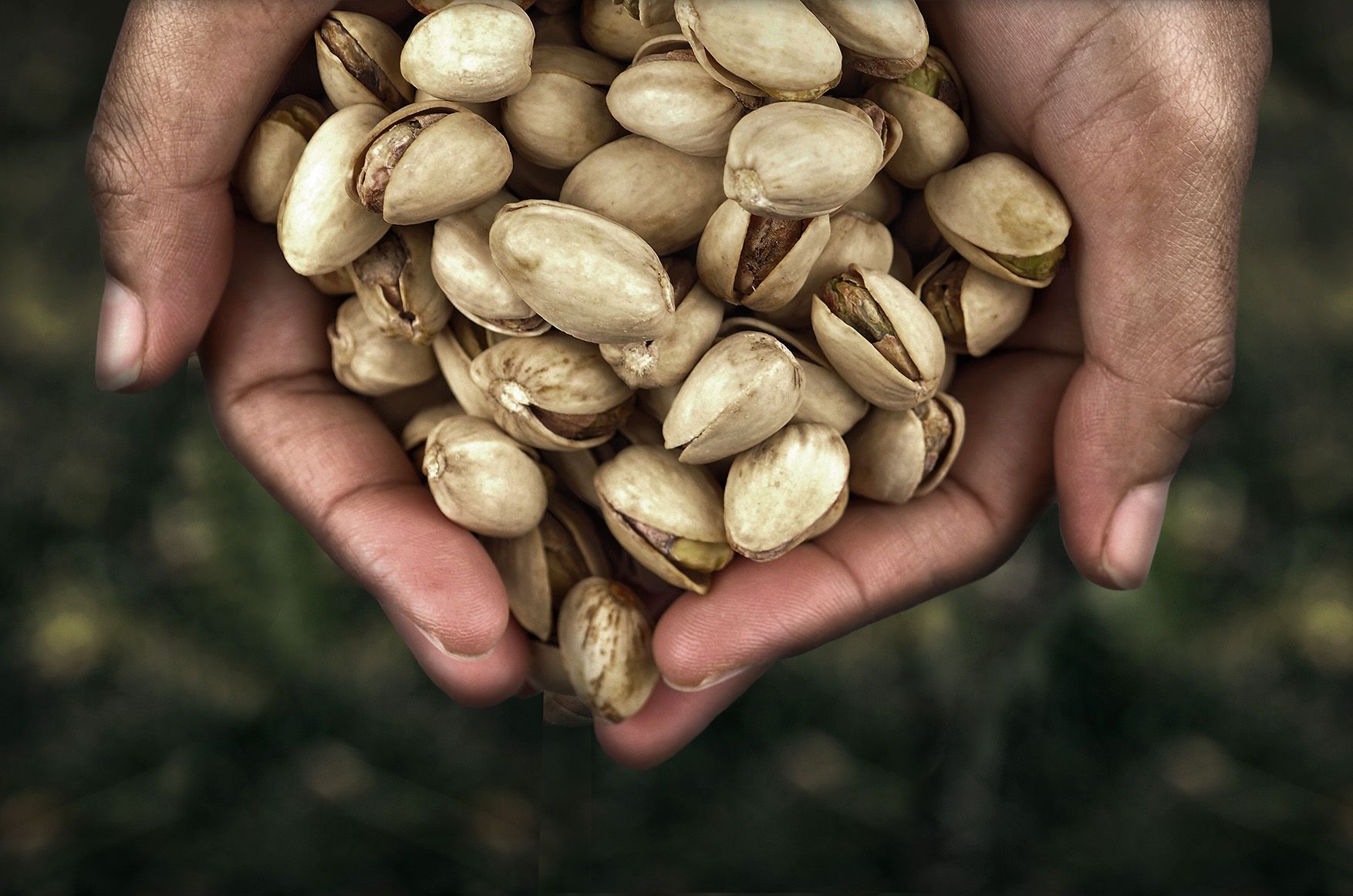 Pistacho,Humus-Spain