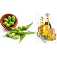 Aceite de Neem